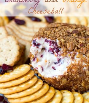 Spicy Chili Nut Crusted Cranberry and Orange Cheeseball